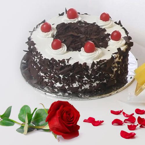 Sumptuous Black Forest Cake N Red Rose