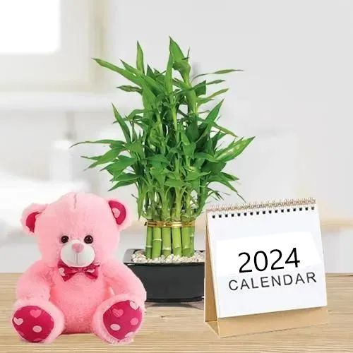 Captivating Lucky Bamboo Plant with 6 inch Teddy