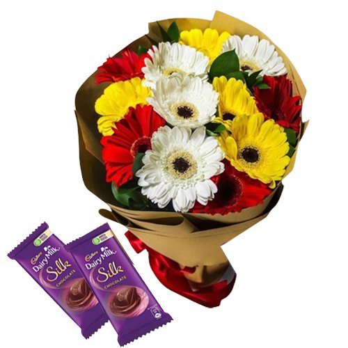 Classic Gift of Mixed Gerberas Bunch with Dairy Milk Silk