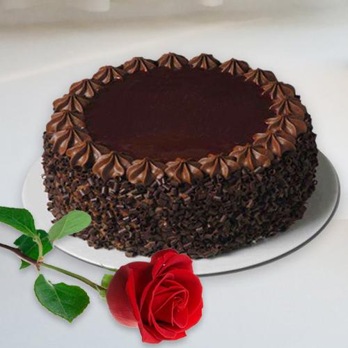Resplendent Chocolate y Delight Cake with Single Red Rose