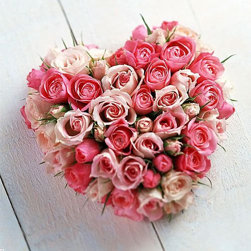 Magnificent Peach N Pink Roses in Heart Shape Arrangement