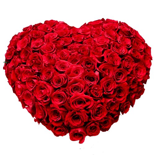 Magnificent Heart Shaped 150 Dutch Red Roses Arrangement of Love