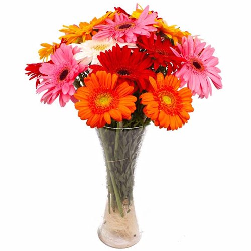 Stylish Arrangement of Colorful Gerberas in a Vase