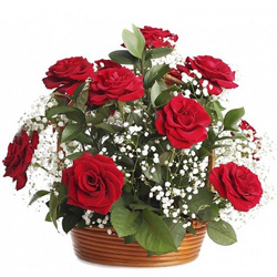 Striking Red Roses Arrangement for Birthday