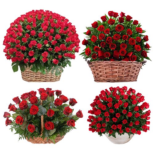 MidNight Delivery ::Biggest Love  250 Pcs. Exclusive Dutch Red Roses in Multi Basket