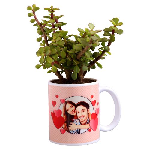 Jade Mini Plant in Personalize Mug
