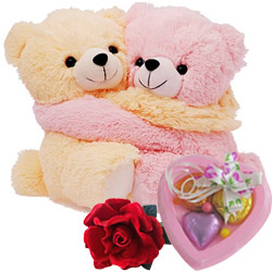 Wonderful Hugging Couple Teddy with Rose and Homemade Chocolates